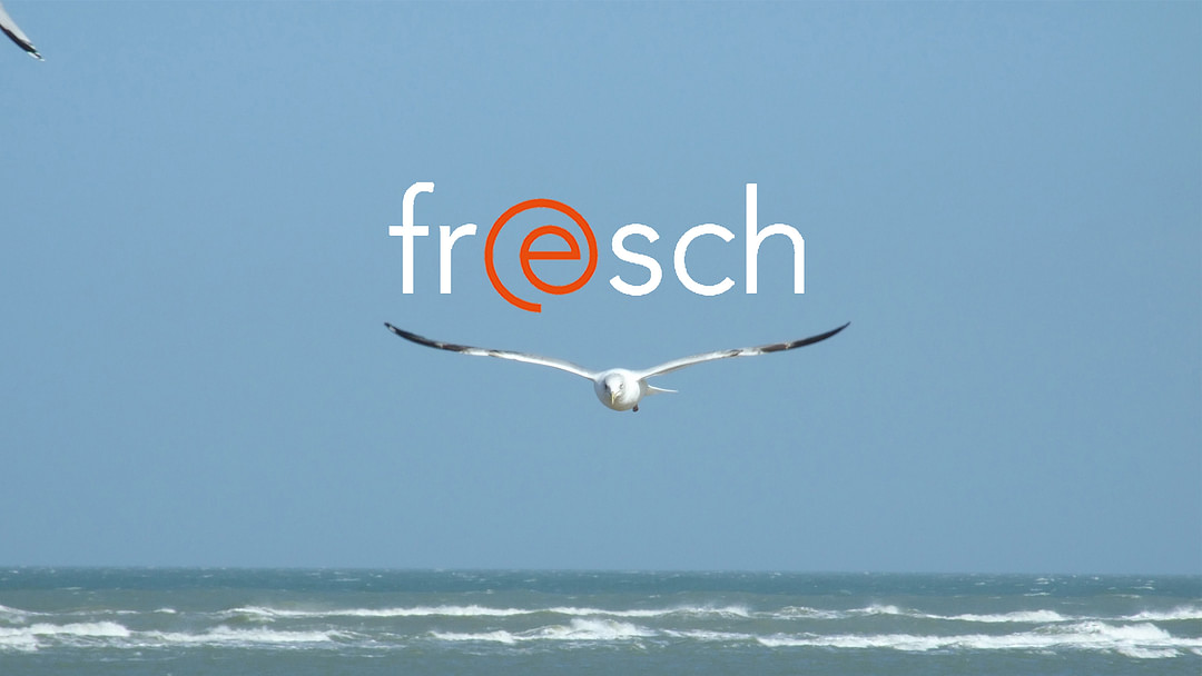 fresch-webdesign cover